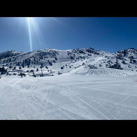 U061 - Grand Studio Renove - Vue Montagne Greolieres Extérieur photo